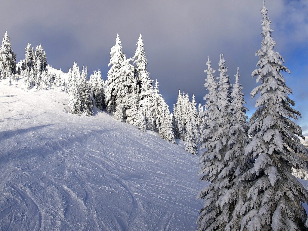 sunpeaks, kamloops, british columbia, canada, trees, snow, ice, nature, cold, outdoor, activity, skiing