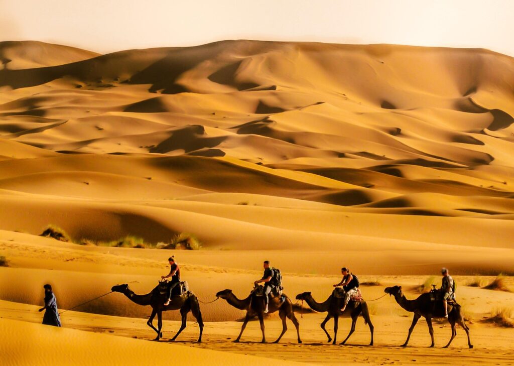 desert, holiday, travel, nature, sand, morocco, sky, arabia, sahara, sun, landscape, morocco, arabia, arabia, arabia, arabia, arabia