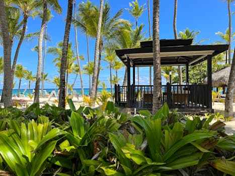 Relaxing tropical scene with a gazebo surrounded by palm trees on a sunny Punta Cana beach.