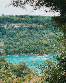 A lush green landscape view of Niagara River bordered by dense forest.