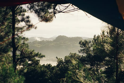 A misty mountain landscape seen through a lush forest canopy, evoking tranquility.