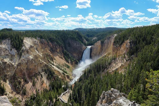 Breathtaking view of Lower Yellowstone Falls surrounded by lush forests and rugged canyon walls.