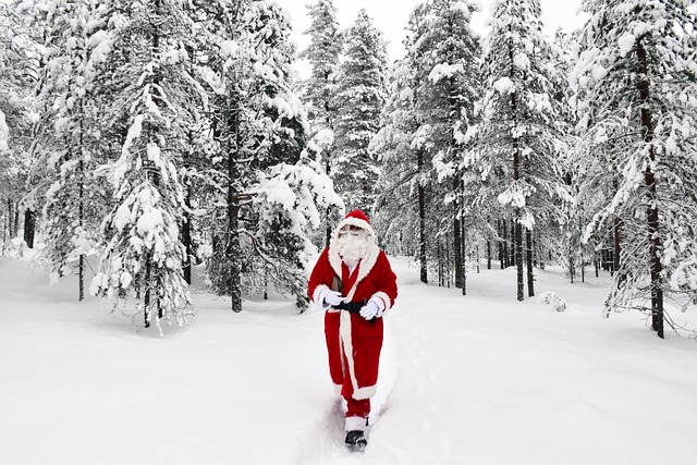 rovaniemi, samichlaus, nikolaus, santa claus, santa, xmas, christmas, old santa, lapland, writing, waiting, joy, parish, dec, greetings, nicholas, stamp, finland, santa claus village, père noël, advent, forest, winter, rabbit, gray village, rovaniemi, rovaniemi, rovaniemi, rovaniemi, rovaniemi, samichlaus