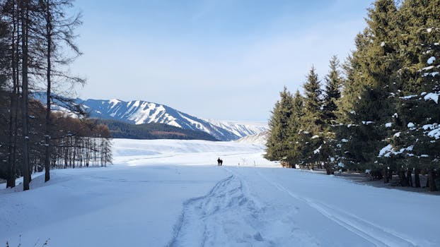 Scenic winter view with a snowy landscape near Karakol in the Issyk-Kul Region, Kyrgyzstan.
