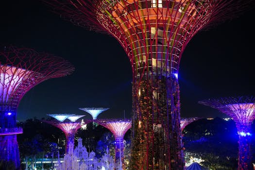 A captivating view of Singapore's Supertree Grove illuminated against the night sky.